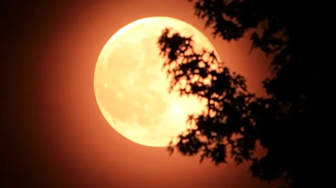 December 2025 Supermoon: Final Full Moon Of The Year Set To Illuminate The Night Sky, Time, How To Watch And Top Locations