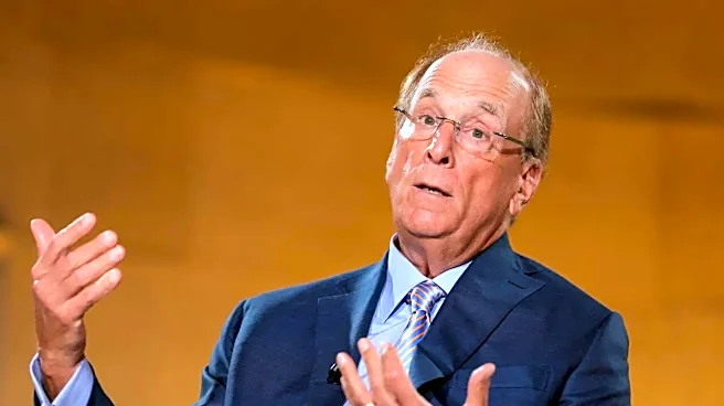 Blackrock CEO Larry Fink Says There Is No AI Bubble But.....