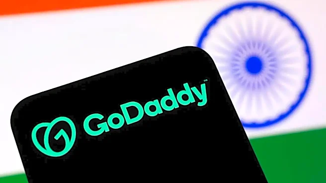 World's Biggest Domain Seller Fears India's Fake Site Crackdown Could Damage Internet