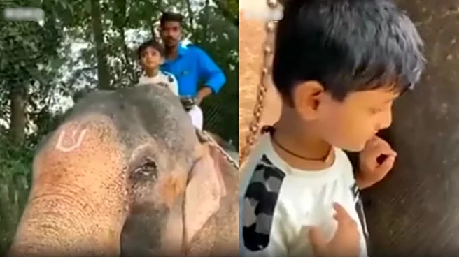 ‘Aura Farming Final Boss’: Young Kid Brings Elephant To School For ‘Pet Day Competition’!