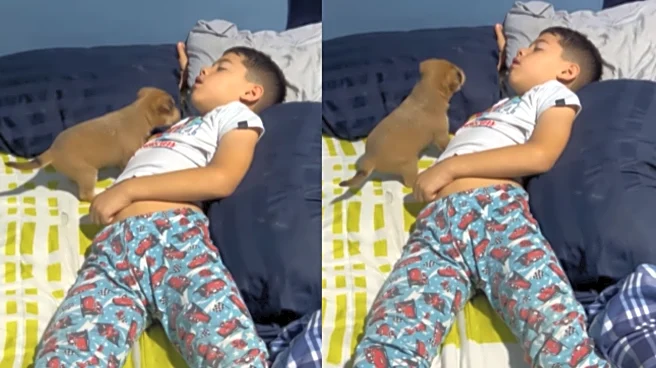 An Alarm Clock That Even ‘Corporate Majdoors’ Will Love! Young Boy’s Adorable ‘Alarm’ Wins Internet