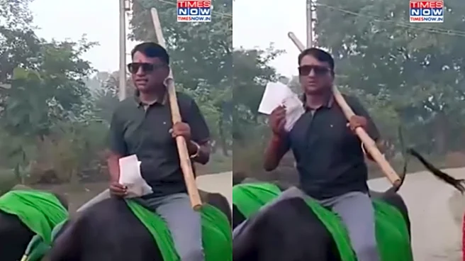 ‘Only In Bihar’: Man Rides A Buffalo To Polling Booth To Cast His Vote | Viral Video