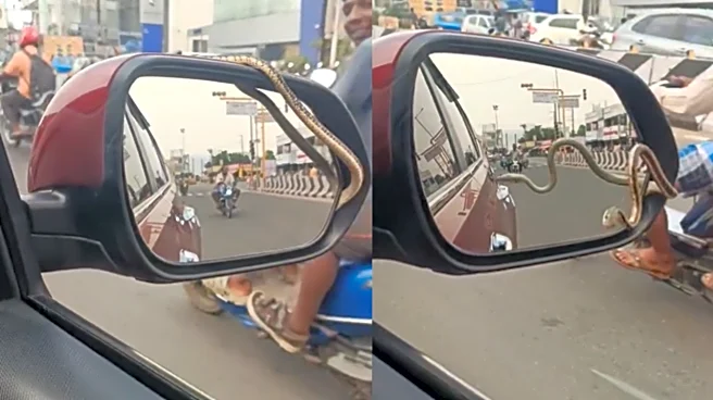 ‘Objects In Mirror Are Poisonous Than They Appear’: Driver Spots Snake On Car’s Side Mirror While Driving | VIRAL