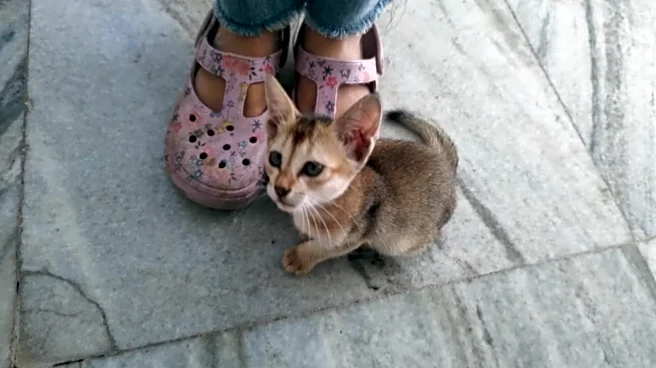 ‘Wash Your Chappal At Least On Sunday’: Mother’s Hilarious Response To Daughter’s ‘Cat Picture’ Wins Internet