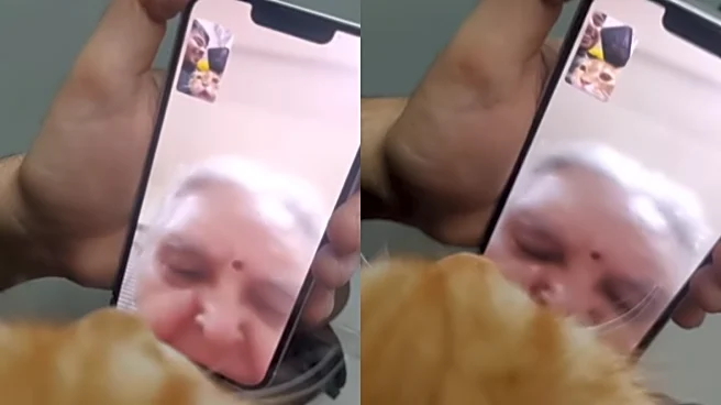 Cutest Video Of The Month? Pet Cat’s Adorable Video Call With Grandma Melts Internet | VIRAL