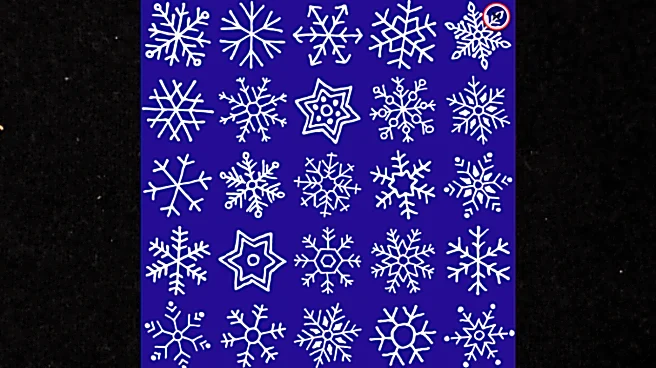 Optical Illusion: Can You Spot The Twin Snowflakes In Under 10 Seconds