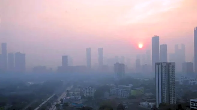 After Delhi AQI Crisis, Mumbai Man Says 'Almost All His Colleagues Are Sick Due To Air Pollution' | Viral Post