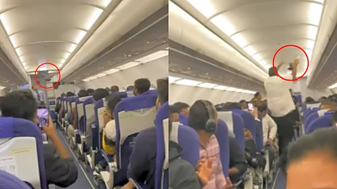 ‘Bhai Ko 900 Kmph Ki Speed Se Udna Tha’: Pigeon Enters Bengaluru-Vadodara IndiGo Flight! Viral Video