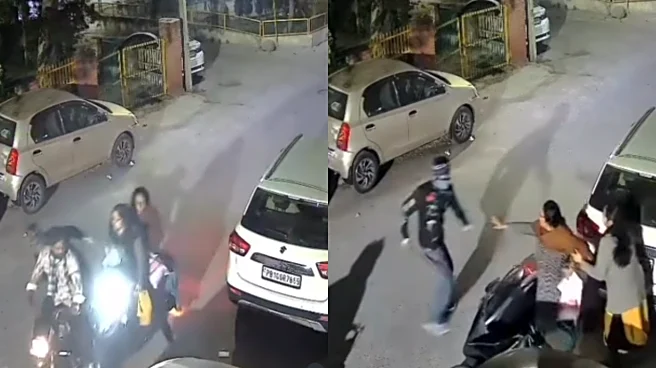 Viral Video: Elderly Woman Confronts Armed Snatchers In Ludhiana, Shields Another Woman; Earns Praise
