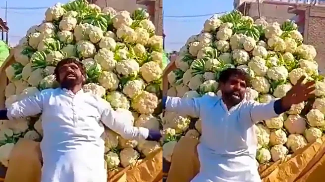 'HUGE Loss For Pakistan': Pakistani Farmer Breaks Down After Afghanistan Halts Trade | VIRAL VIDEO