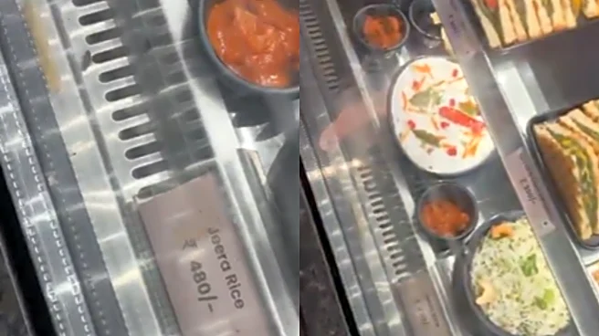 Hyderabad Man Spots Cockroach Inside Restaurant's Food Counter At Airport; Viral Video Triggers Anger