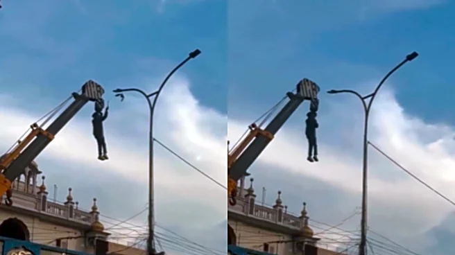 Man Hangs From Crane To Rescue Bird Trapped In Dangling Wires! Earns Internet’s Respect | Video