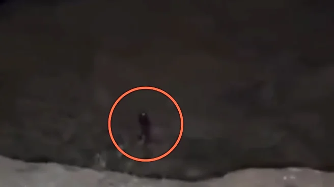 ‘Ghost Sighting’ In Himachal? Eerri Viral Video Shows Mysterious ‘Woman’ Alone In Mountain