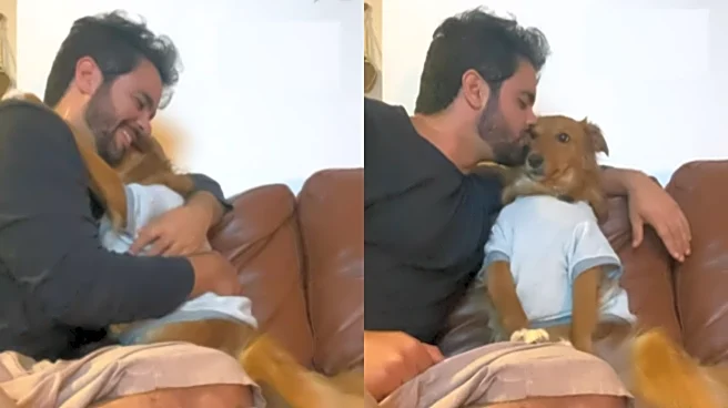 Heartwarming Video Shows Rescue Dog’s Emotional Reaction To Getting Kissed For First Time!