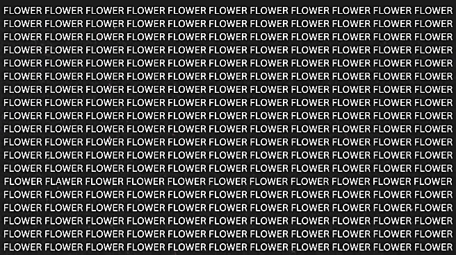 Optical Illusion: Can You Spot What Is Wrong With This Image?