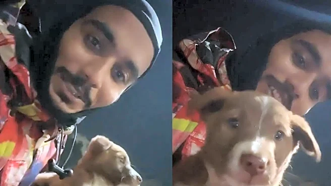 Zomato Delivery Agent Rescues Stray Puppy From Being Hit By Cars, Later Adopts It; 'Namaste Bolo Sabko' | VIDEO