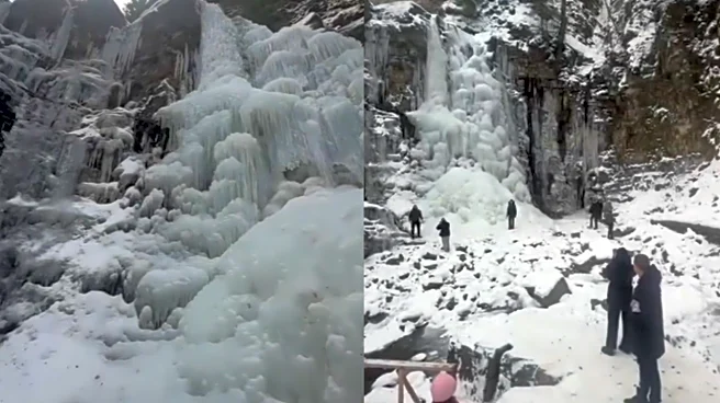‘Ice Age Coming Back?’ Ukraine’s 20-Meter-High Waterfall Freezes Completely | Viral Video