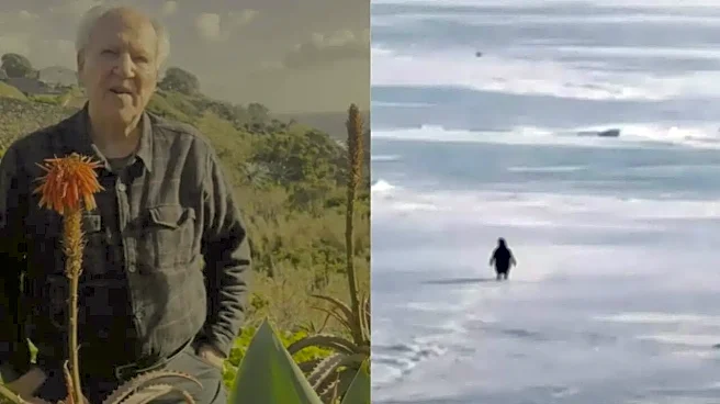 'Heading Towards His Death': Werner Herzog Reveals Heartbreaking Story Behind Viral 'Lonely Nihilist Penguin'