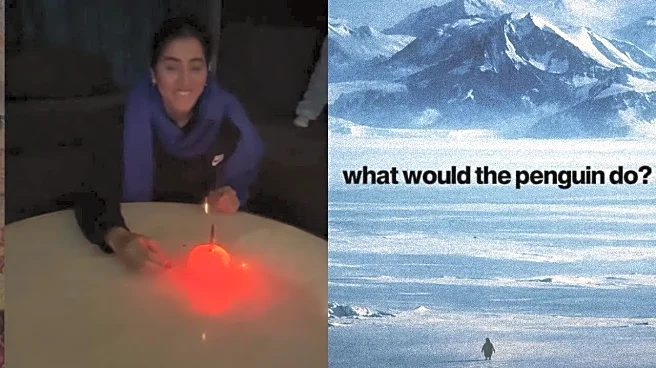 'Lonely Penguin, 2026 Is The New 2016, Glowing Oranges, AI Boyfriends'; January 2026’s Internet Craze Explained