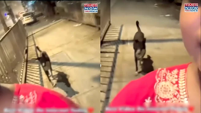 ‘Sheru Bhai Supremacy’: Video Of Stray Dog Accompanying Woman Returning Home At 12 AM Wins Internet