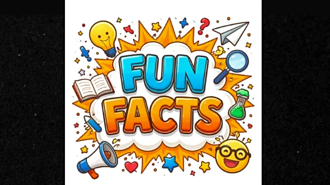 Up For A Challenge? Spot The FAKE Fact Among These ‘Fun Facts’!