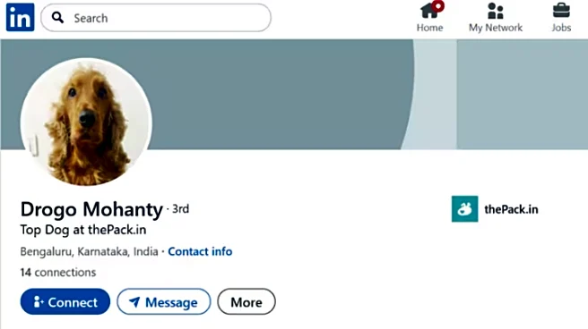 THIS Bengaluru Dog Has Its Own LinkedIn Profile– Drogo Mohanty, The ‘Top Dog’ & Internet Is Loving It | Viral