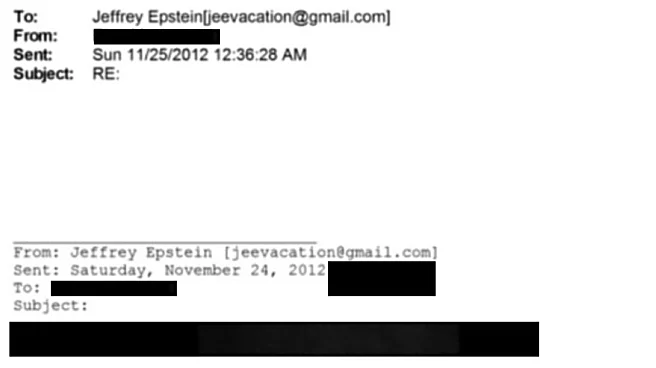 ‘Saw Your Name In Epstein Files’: Ahmedabad Man Gets ‘Best And Worst’ Cold Email For Job Referral