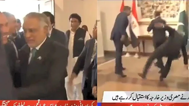 'Fallen For Egypt': Pak Deputy PM Falls While Welcoming Egyptian Counterpart For US-Iran Peace Talks | Video