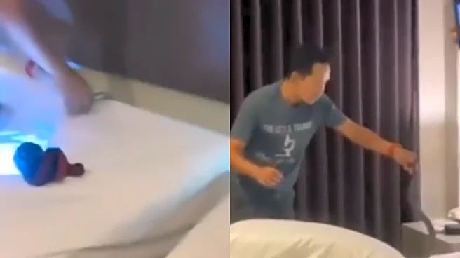 Thailand Hotel Room Horror! Couple Wakes Up To Hissing Black Cobra On Bed; Viral Video