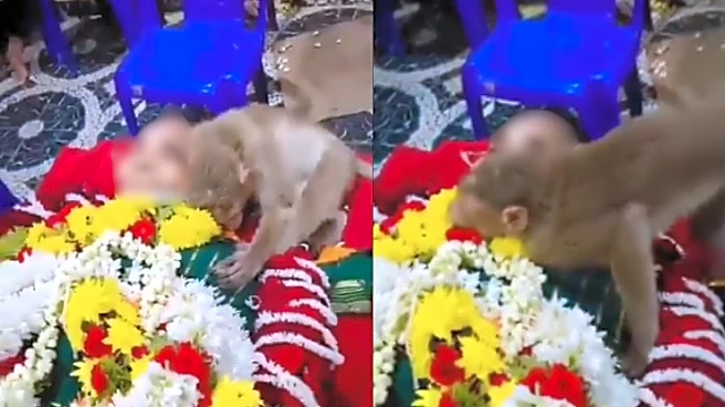 ‘Heartbreaking Farewell’: Monkey Hugs Aged Caretaker After Her Passing In Bengaluru | Video