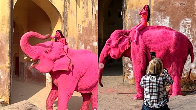 Russian Photographer Starts Support Petition For Herself Amid ‘Pink Elephant Death’ Controversy