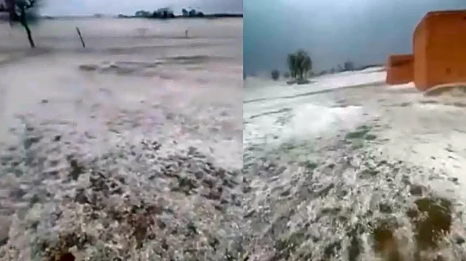 Rajasthan 'Looks Like Kashmir' After Hailstorm; Viral Video Shows Snow-Like Scenes In Bikaner | WATCH
