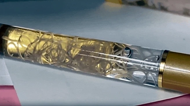 Video: Japanese Ballpen With Live Parasitic Worms In It Leaves Internet Stunned