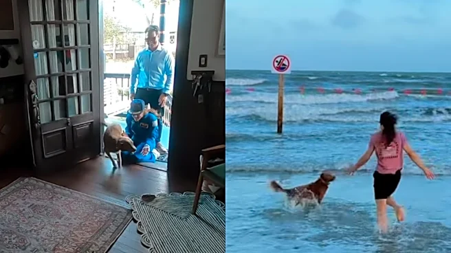 Artemis II Astronaut Christina Koch Gets Wholesome Homecoming Welcome From Pet Dog; VIDEO