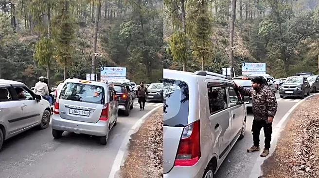 'Stop Blaming Only DL/HR/UP': Uttarakhand Car Creates 'Chaos,' Sparks Debate | VIDEO