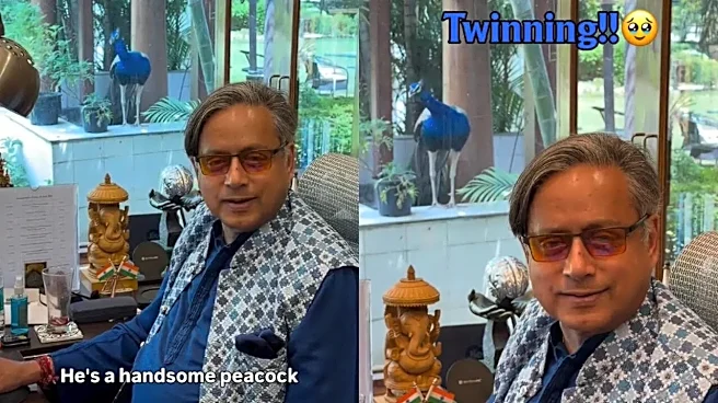 Shashi Tharoor Twins With 'Shiv Bhakt' Peacock; Congress MP Shares Viral Video