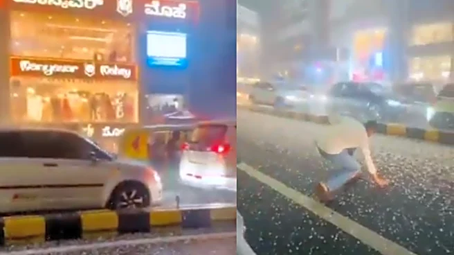 Venkatesh Prasad Asks Bengaluru To Enjoy 'Hailstorm'- Internet Disagrees!