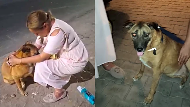 Kaddu Is Back! Delhi Airport Dog Who Went Missing In March Found Safe In Dwarka
