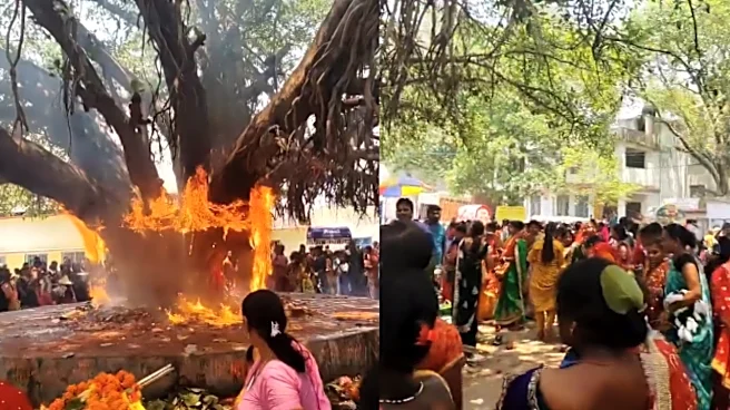 Vat Savitri Puja Celebration Ends Up In Flames! Banyan Tree catches Fire In Patna