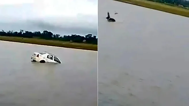 Tourists Drive Into Kabini Backwaters For Photos, Watch Car Sink Before Their Eyes in Mysuru