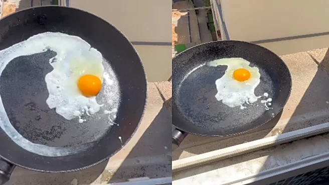 ‘Heatwave-Style Scrambled Eggs’: French Man Cooks Omelette On Pan Kept Under Sun