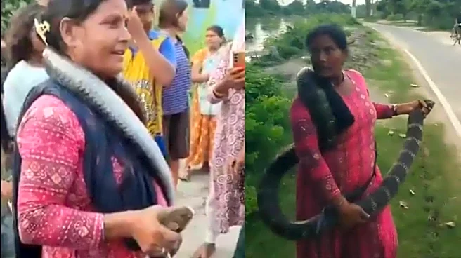 Bihar's 'Snake Lady' Rescues Giant 10-Foot Cobra, Then Wraps It Around Her Neck | VIDEO