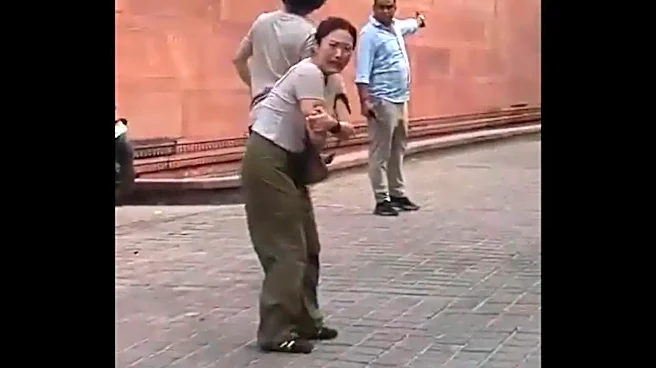 South Korean Tourist Attacked By Monkey At Taj Mahal, Waits Nearly An Hour for Ambulance | VIDEO