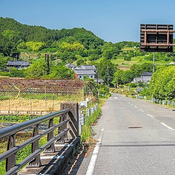 夫婦1泊5万円台「新婚旅行で行った時のままだった」69歳男性が妻と訪れた夏の奈良旅2泊3日