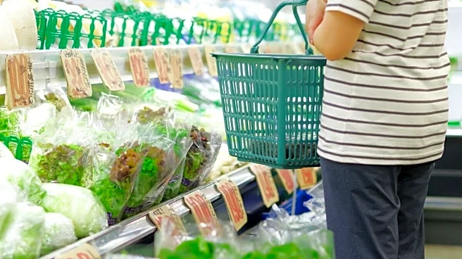 「かさ増しや、味による満足感が得られる」32歳女性が食費のやりくりで“重宝している”食材