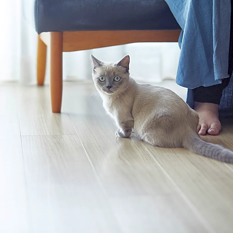 一生貧乏な人は「他人と比べる」？ お金が貯まる人との決定的な違い