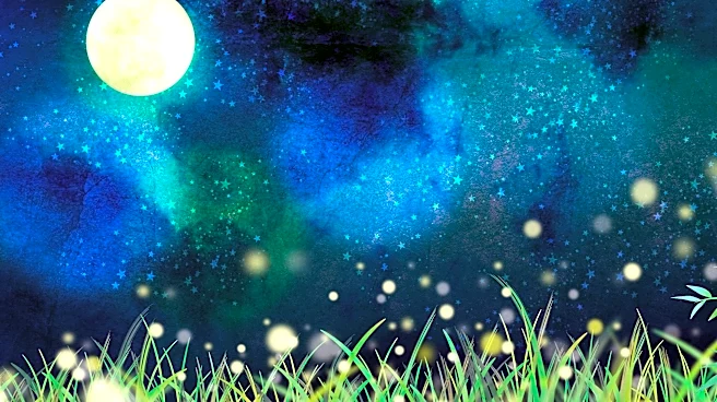 12星座別!2026年8月1日~8月31日の金運アップ方法【天秤座~魚座】