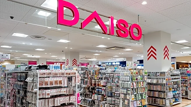 「これ絶対に便利なやつや」ダイソーの折り畳み式ランドリーバスケットが高評価「使わない時はたためるのすばらしすぎる」