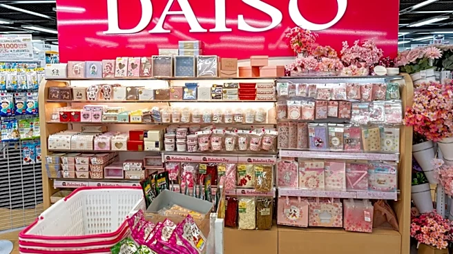 「断水した時に良さそう」ダイソーの「折りたたみポリタンク」が550円で反響。防災だけでなく水遊びグッズにも