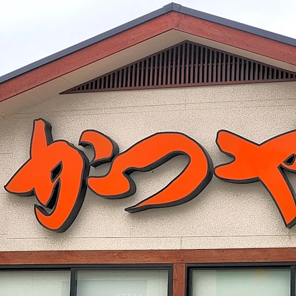 かつやの『680円どんぶり』がコスパ良すぎる！どれも1000円以下の、“ボリューム満点メニュー3選”がおすすめなんです！《実食レビュー》